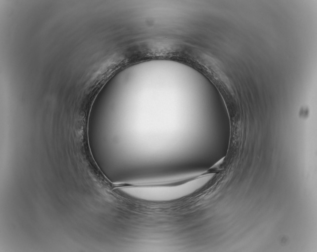 X0000090780505200708101836