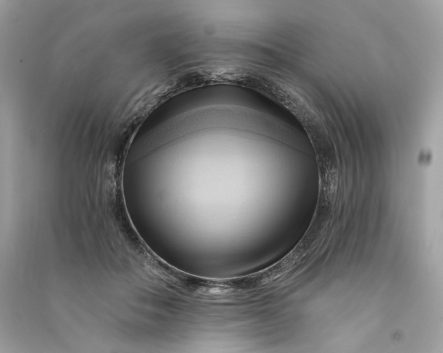 X0000090780506200708101836