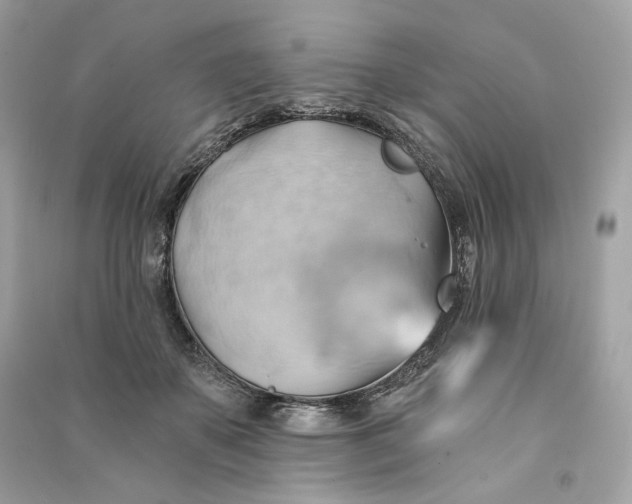 X0000090780507200708101836