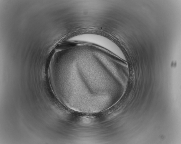 X0000090780508200708101836