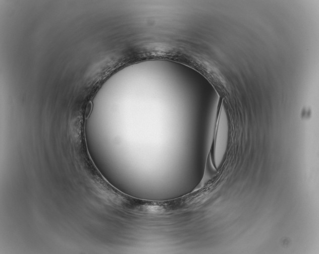 X0000090780509200708101836