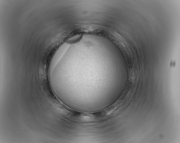 X0000090780510200708101836
