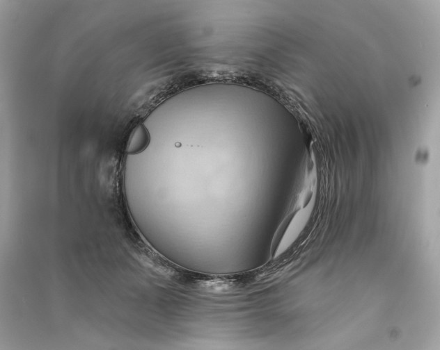 X0000090780511200708101836