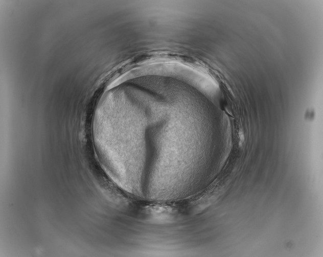 X0000090780512200708101836