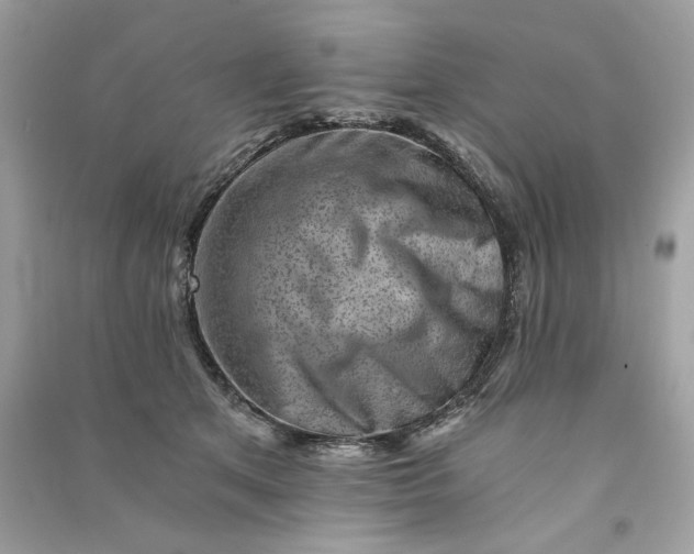 X0000090780513200708101836