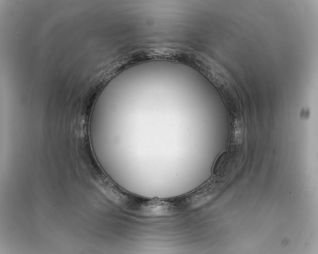 X0000090780514200708101835