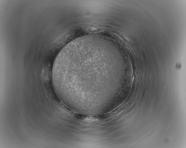 X0000090780515200708101835