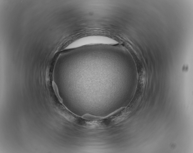 X0000090780516200708101835