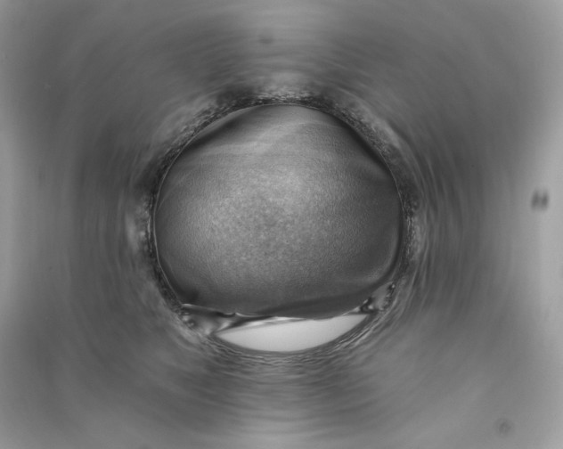 X0000090780517200708101835