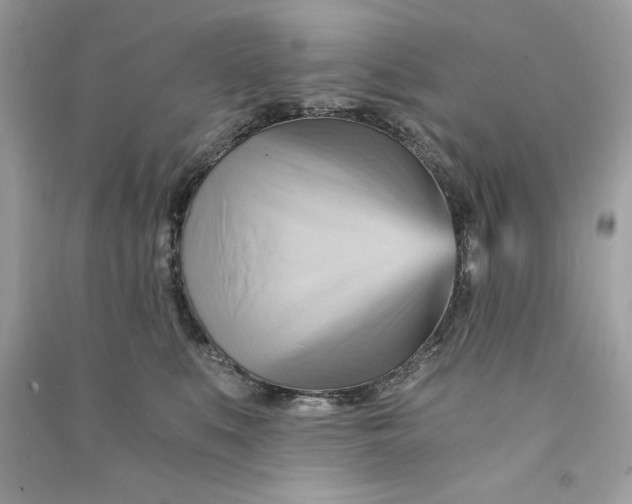 X0000090780519200708101835