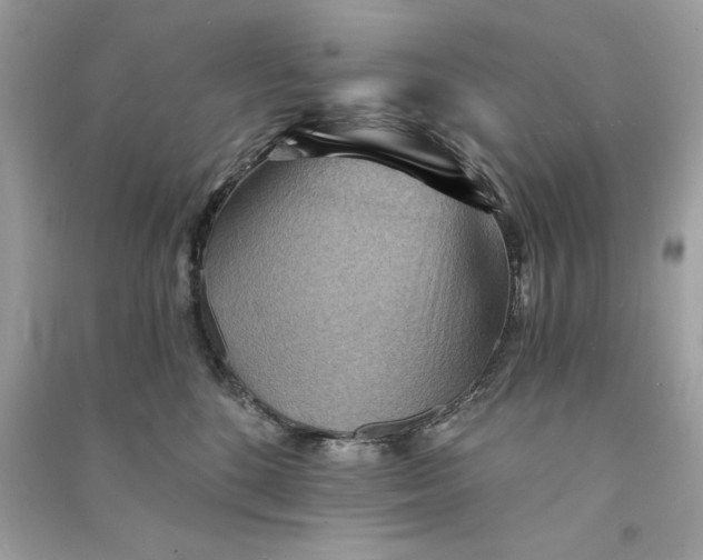 X0000090780520200708101835