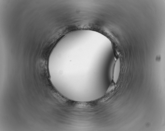 X0000090780521200708101835