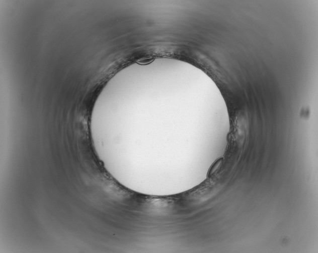 X0000090780522200708101835