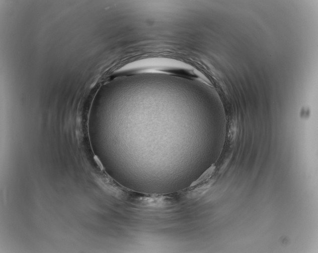 X0000090780524200708101835