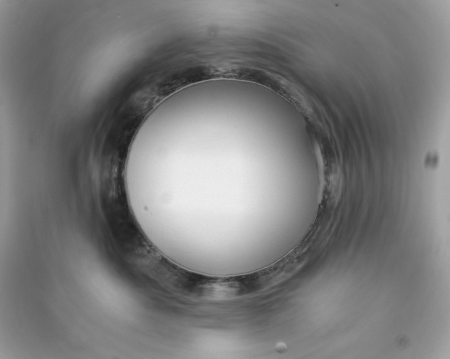 X0000090780525200708101835