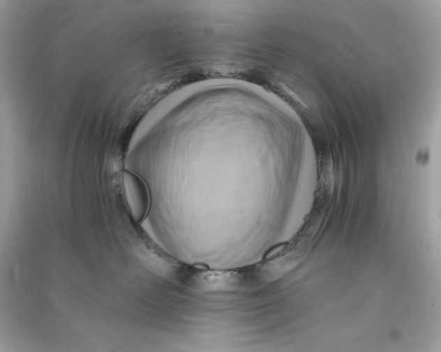 X0000090780526200708101835