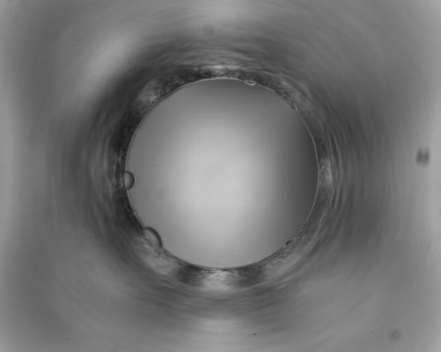 X0000090780527200708101835