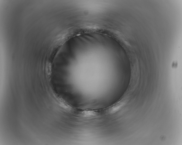 X0000090780528200708101835