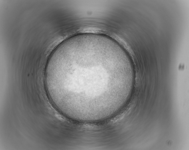 X0000090780529200708101835
