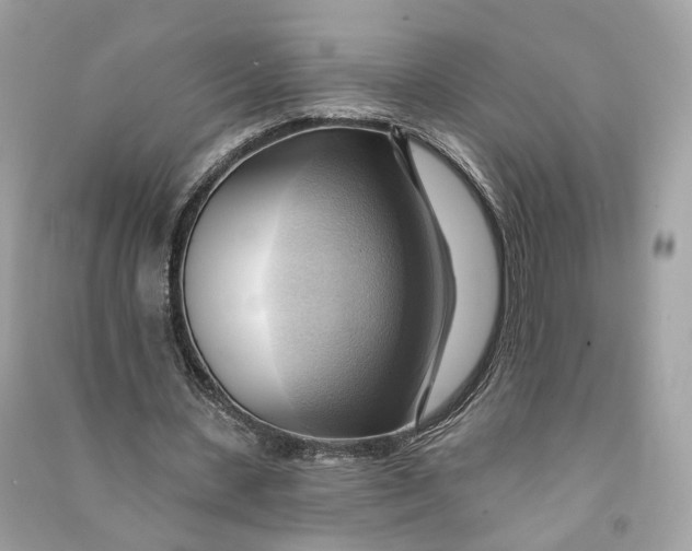 X0000090780531200708101835