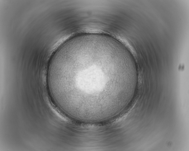 X0000090780533200708101835