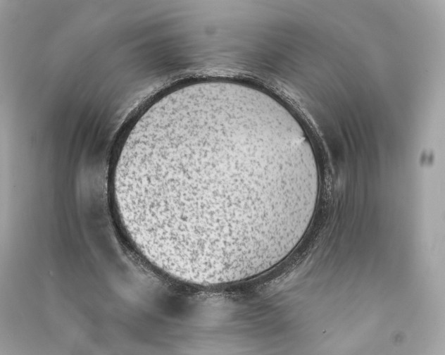 X0000090780534200708101835