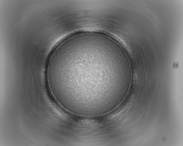 X0000090780535200708101835
