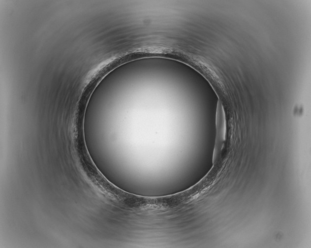 X0000090780536200708101835