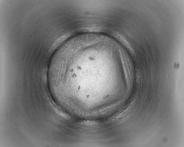 X0000090780537200708101835