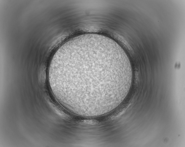X0000090780541200708101835