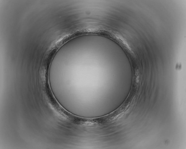 X0000090780542200708101835
