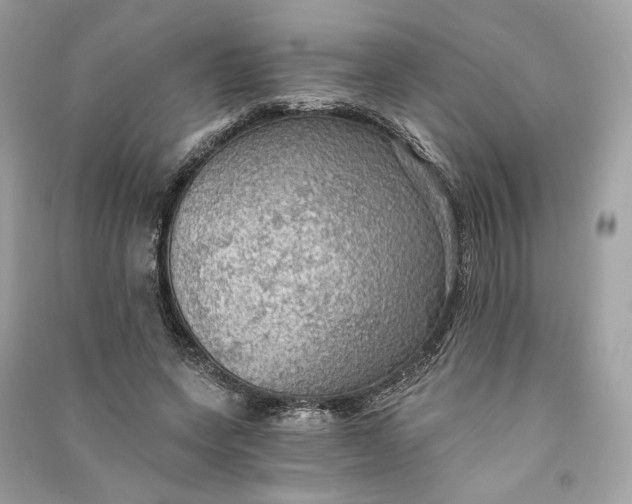 X0000090780543200708101835