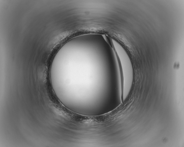 X0000090780544200708101835