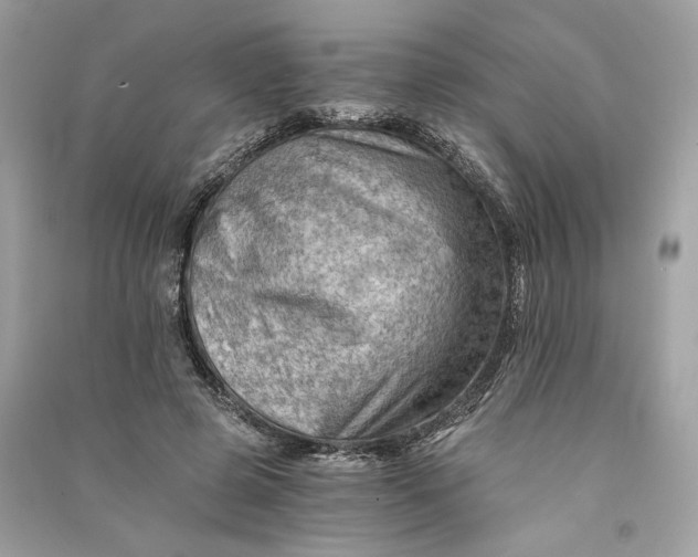 X0000090780545200708101835