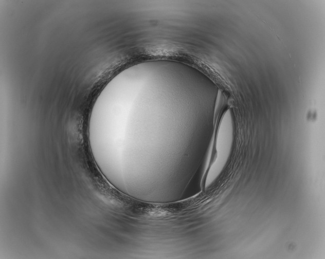 X0000090780547200708101835