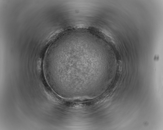 X0000090780550200708101835