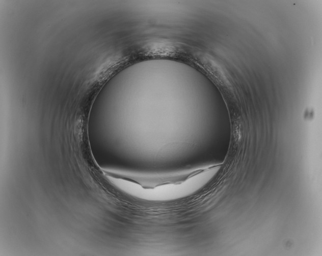 X0000090780551200708101835