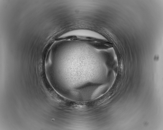 X0000090780552200708101835