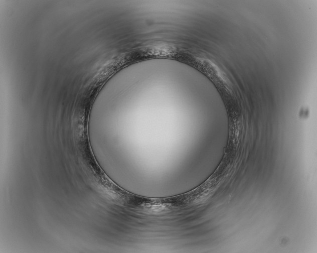 X0000090780553200708101835