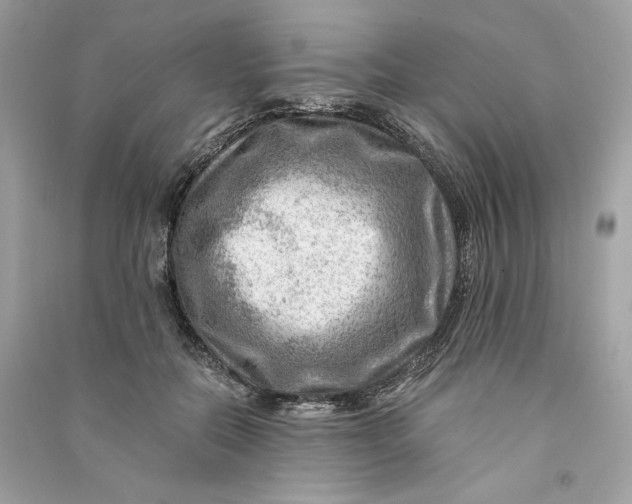 X0000090780554200708101835