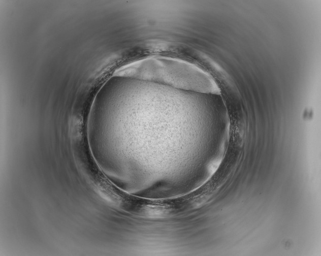 X0000090780556200708101835