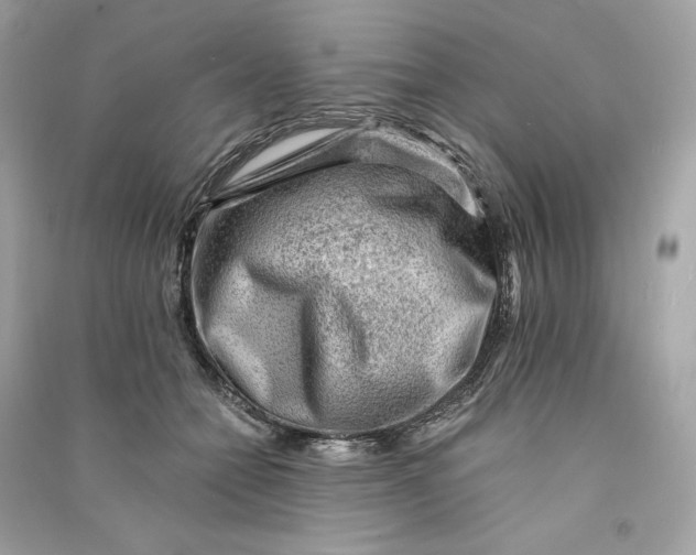 X0000090780558200708101835