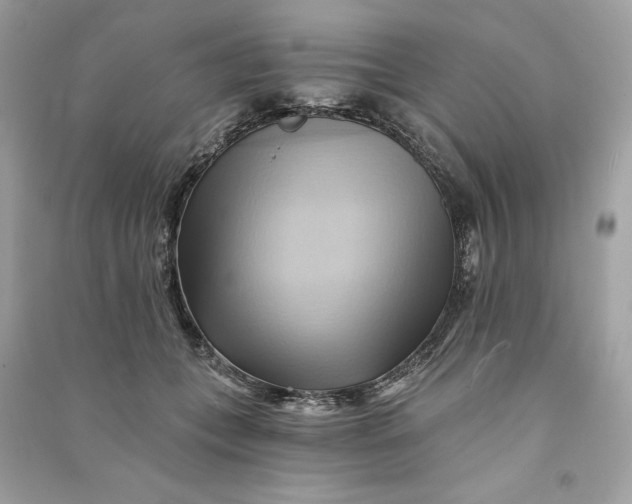 X0000090780559200708101835