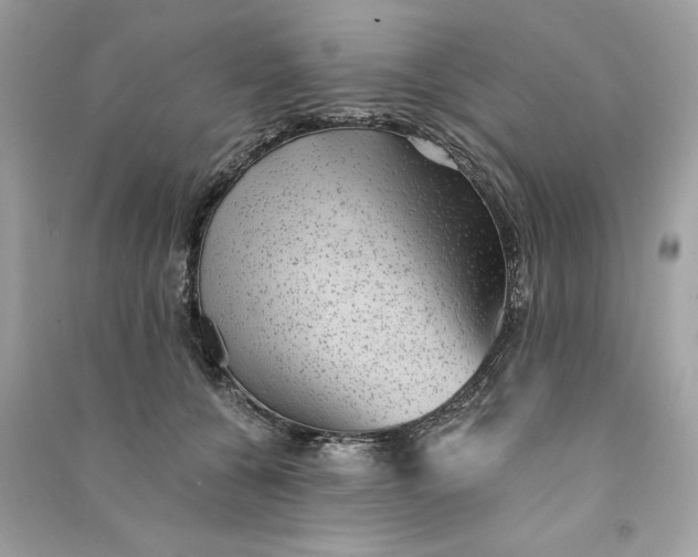 X0000090780560200708101835