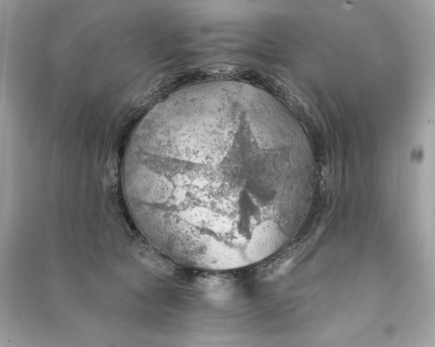 X0000090780561200708101835