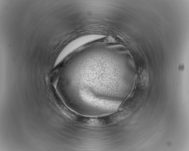 X0000090780562200708101835