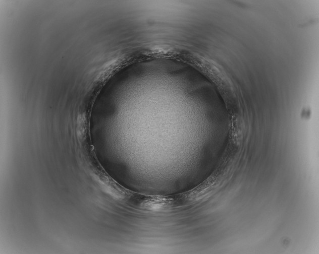 X0000090780563200708101835