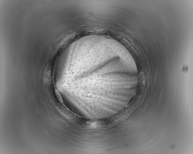 X0000090780564200708101835