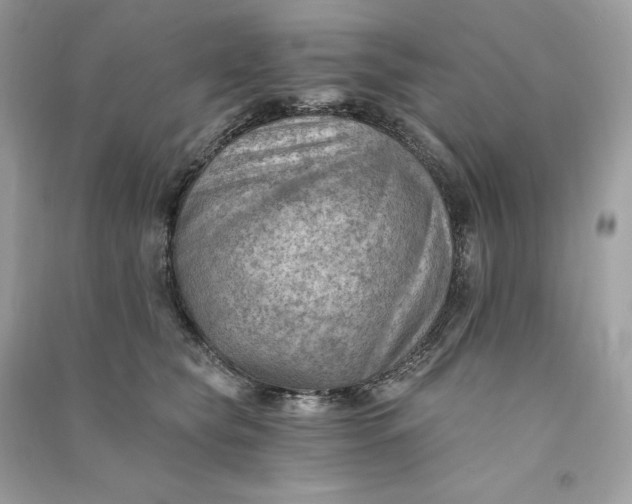 X0000090780565200708101835