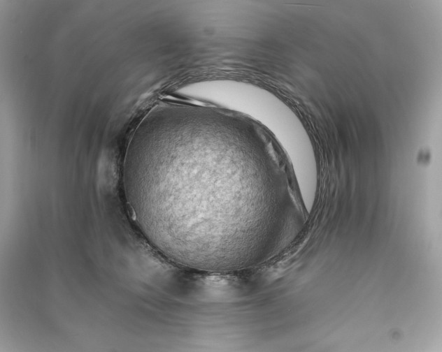 X0000090780566200708101835